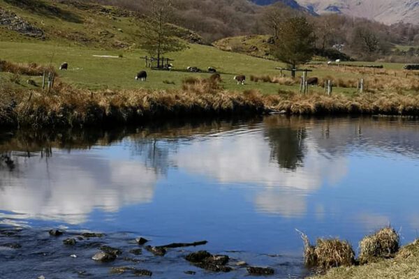 Neaum Crag Estate - Holiday Lodges & Apartments set in Eighteen Acres of pristine Lake District Woodland