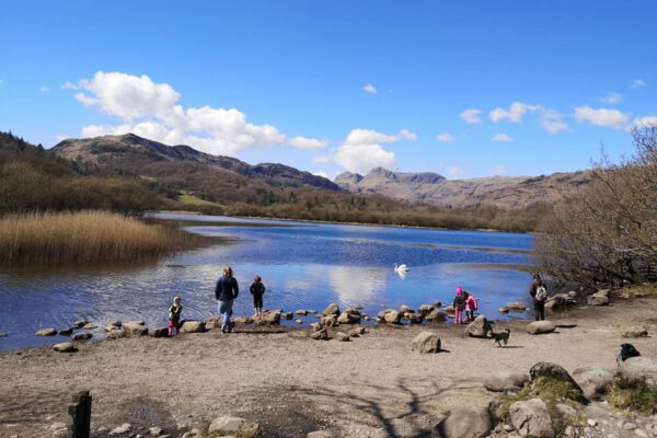 Neaum Crag Estate - Holiday Lodges & Apartments set in Eighteen Acres of pristine Lake District Woodland