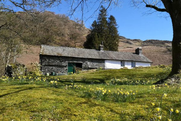 Neaum Crag Estate - Holiday Lodges & Apartments set in Eighteen Acres of pristine Lake District Woodland