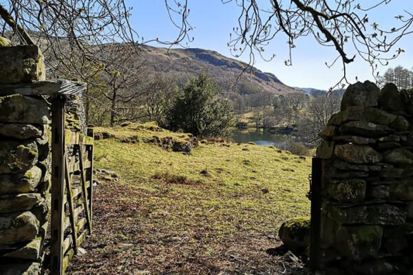 Neaum Crag Estate - Holiday Lodges & Apartments set in Eighteen Acres of pristine Lake District Woodland