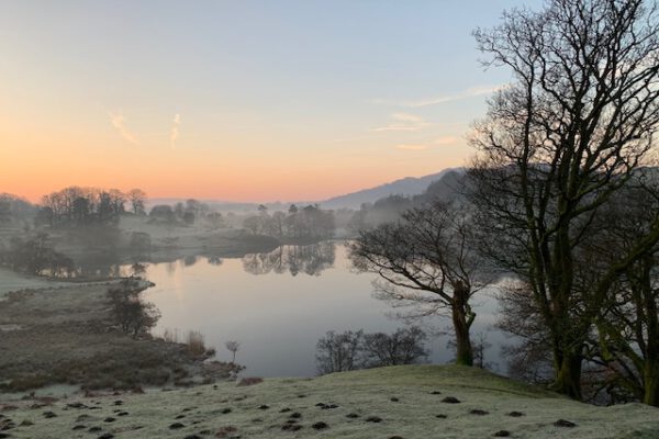 Neaum Crag Estate - Holiday Lodges & Apartments set in Eighteen Acres of pristine Lake District Woodland