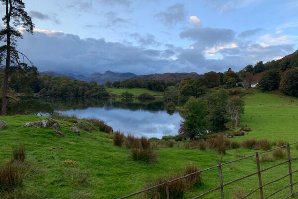 Neaum Crag Estate - Holiday Lodges & Apartments set in Eighteen Acres of pristine Lake District Woodland