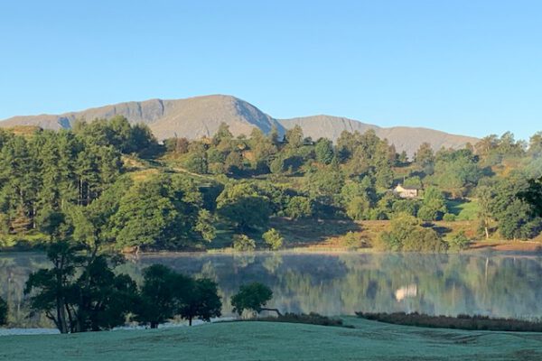 Neaum Crag Estate - Holiday Lodges & Apartments set in Eighteen Acres of pristine Lake District Woodland