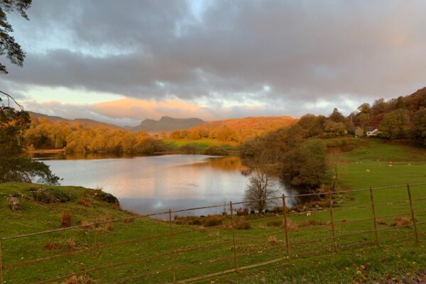 Neaum Crag Estate - Holiday Lodges & Apartments set in Eighteen Acres of pristine Lake District Woodland