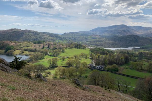 Neaum Crag Estate - Holiday Lodges & Apartments set in Eighteen Acres of pristine Lake District Woodland