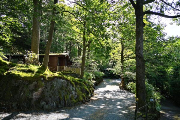 Neaum Crag Estate - Holiday Lodges & Apartments set in Eighteen Acres of pristine Lake District Woodland