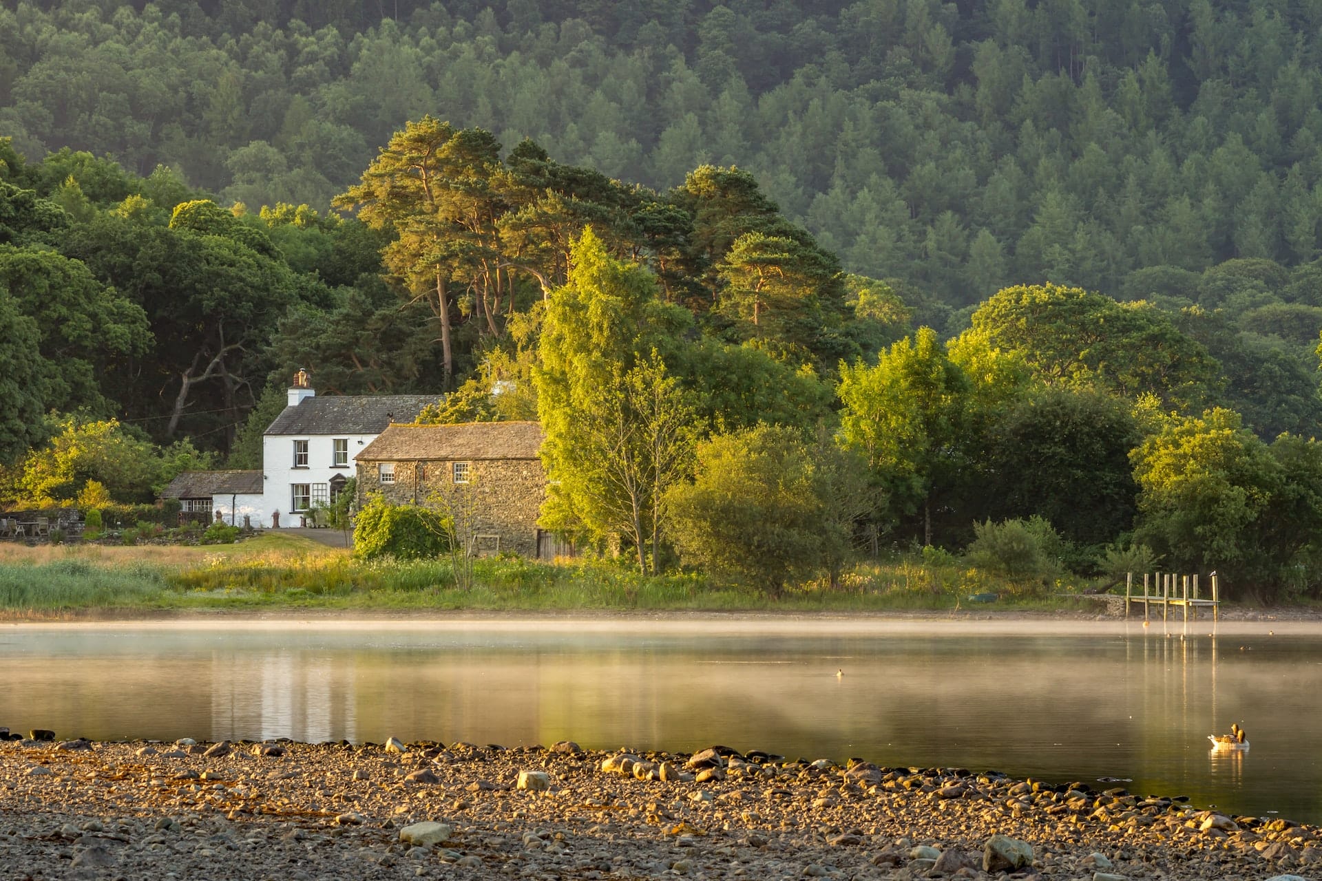 Neaum Crag Estate - Holiday Lodges & Apartments set in Eighteen Acres of pristine Lake District Woodland