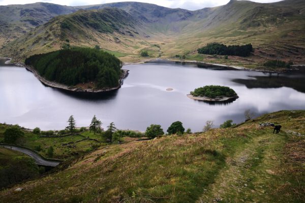 Neaum Crag Estate - Holiday Lodges & Apartments set in Eighteen Acres of pristine Lake District Woodland