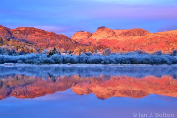 Neaum Crag Estate - Holiday Lodges & Apartments set in Eighteen Acres of pristine Lake District Woodland