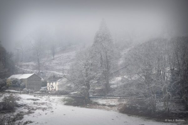 Neaum Crag Estate - Holiday Lodges & Apartments set in Eighteen Acres of pristine Lake District Woodland