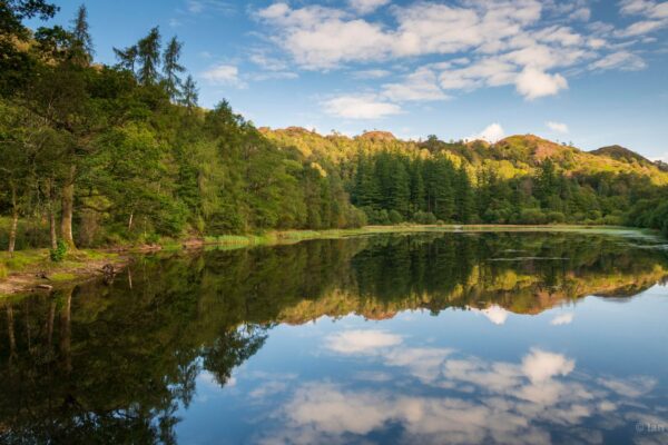 Neaum Crag Estate - Holiday Lodges & Apartments set in Eighteen Acres of pristine Lake District Woodland