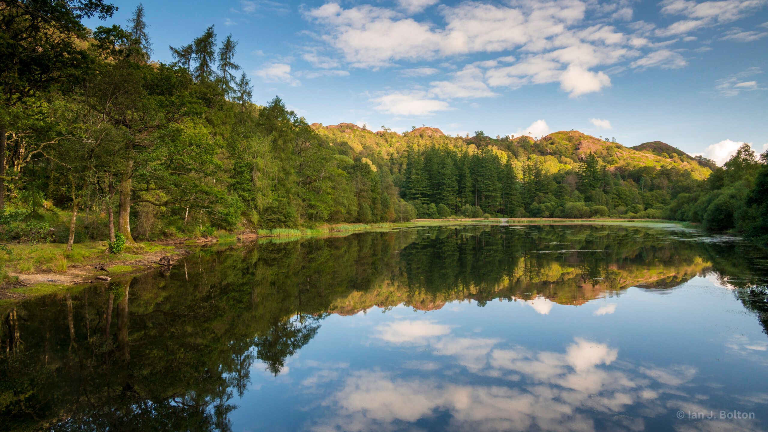 Neaum Crag Estate - Holiday Lodges & Apartments set in Eighteen Acres of pristine Lake District Woodland