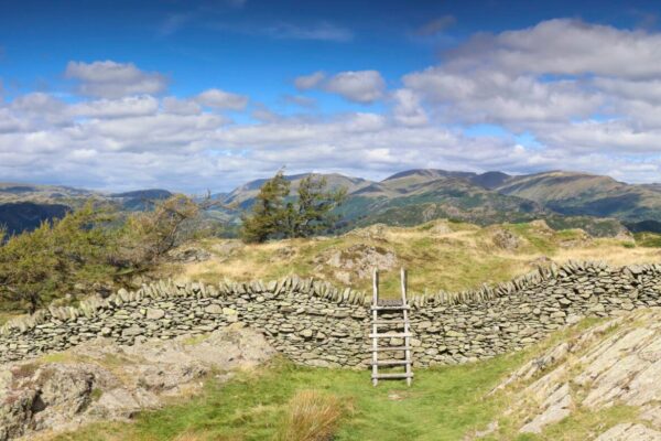 Neaum Crag Estate - Holiday Lodges & Apartments set in Eighteen Acres of pristine Lake District Woodland