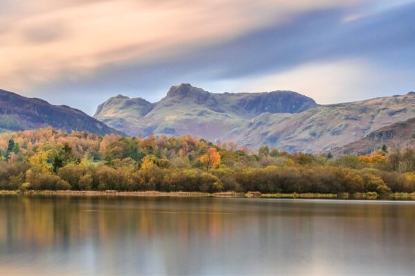 Neaum Crag Estate - Holiday Lodges & Apartments set in Eighteen Acres of pristine Lake District Woodland