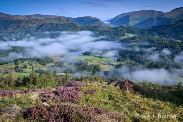 Neaum Crag Estate - Holiday Lodges & Apartments set in Eighteen Acres of pristine Lake District Woodland